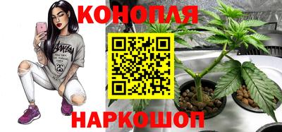 mix Заводоуковск