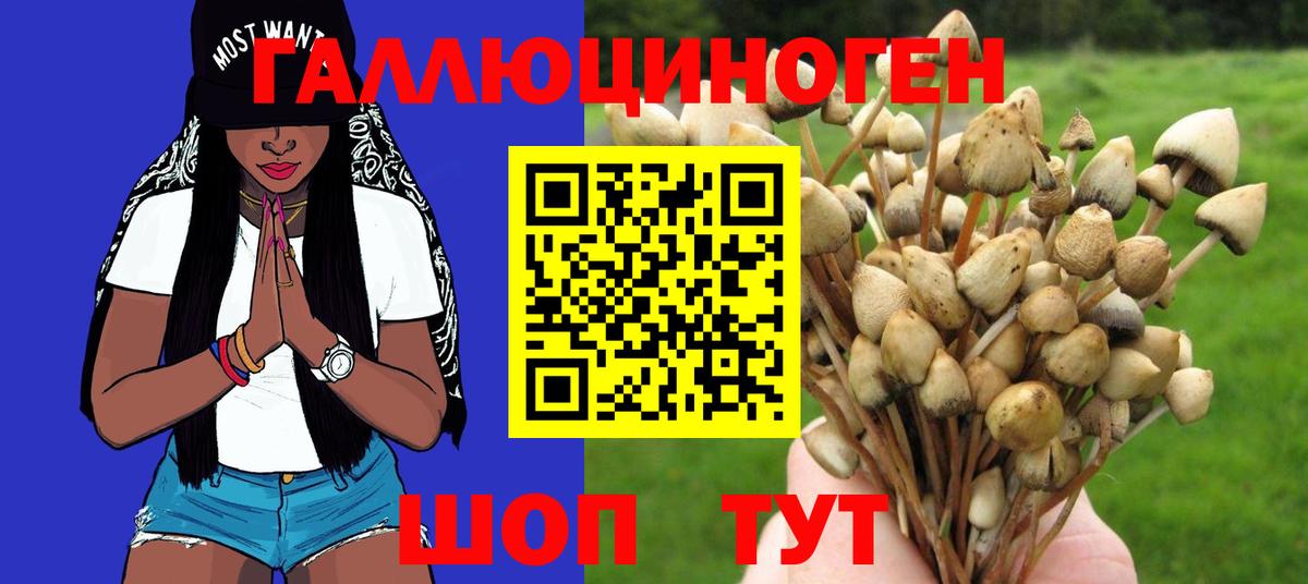 Галлюциногенные грибы мицелий Курчатов