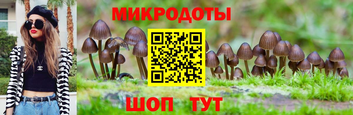 Codein Курчатов