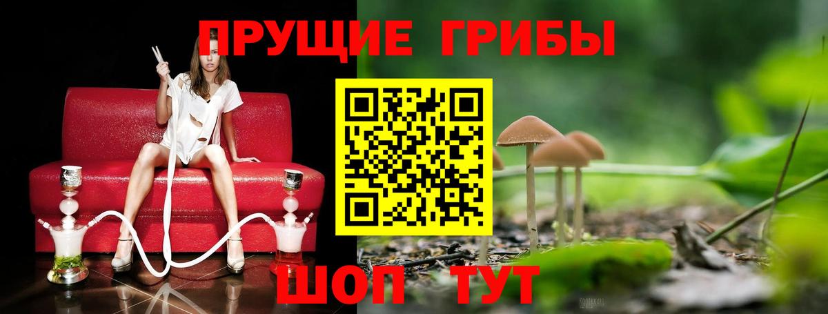 Галлюциногенные грибы MAGIC MUSHROOMS  Вход с VPN  Курчатов 